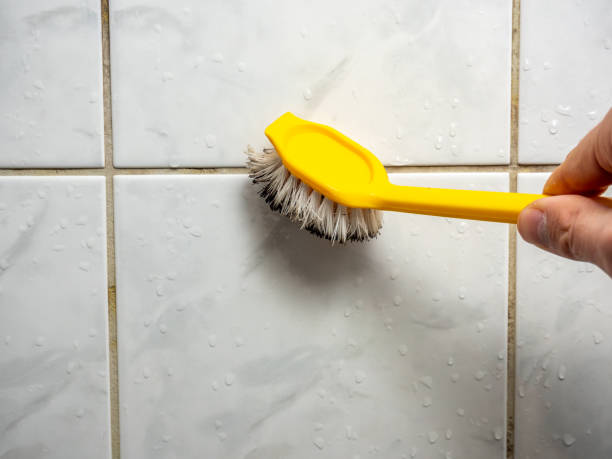 Best Mold Testing  in Crestwood, KY