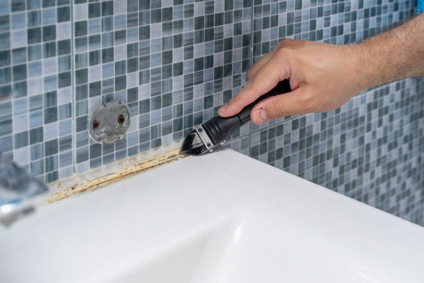 Best Commercial Mold Removal  in Crestwood, KY